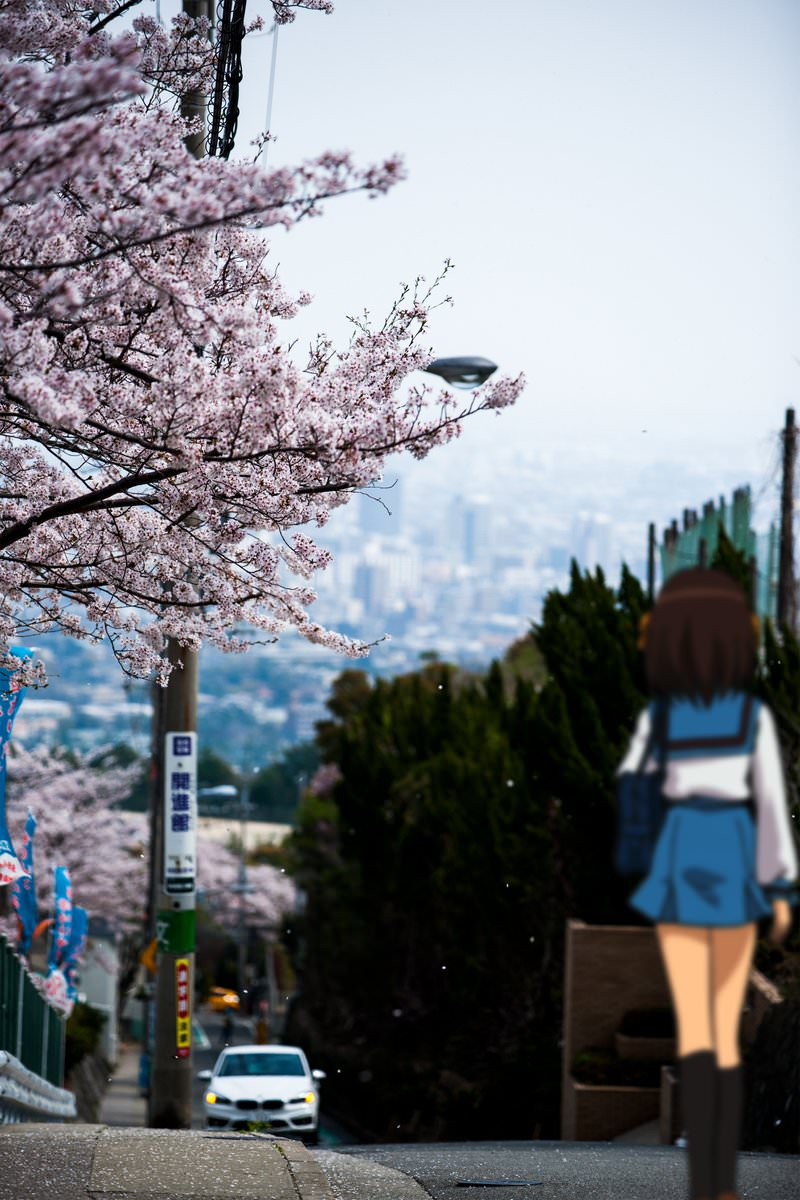 Illustration for article titled When Anime And Photoshop Meet The Real World